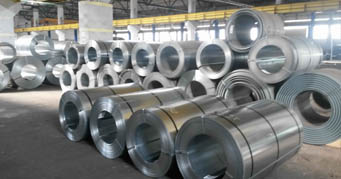 Galvanized Coils